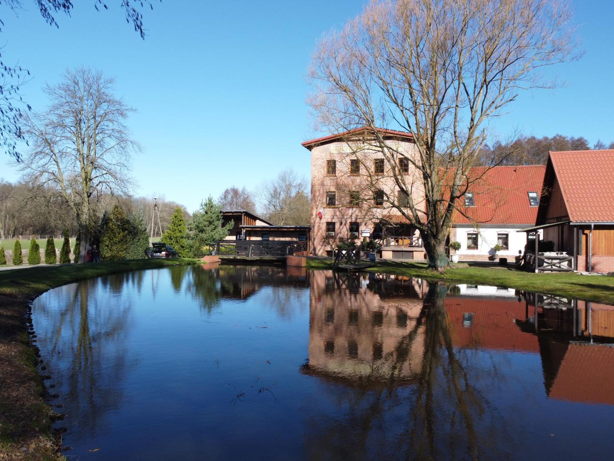 Villa Stary Mlyn W Brzeznicy Brzeznica  Esterno foto