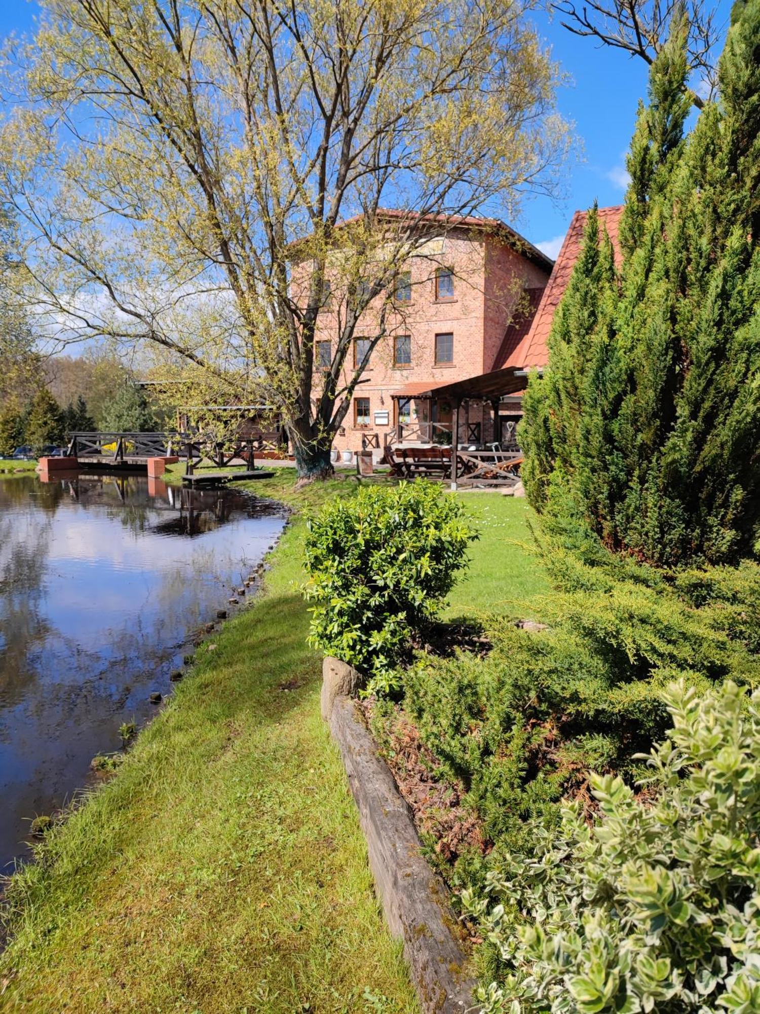 Villa Stary Mlyn W Brzeznicy Brzeznica  Esterno foto