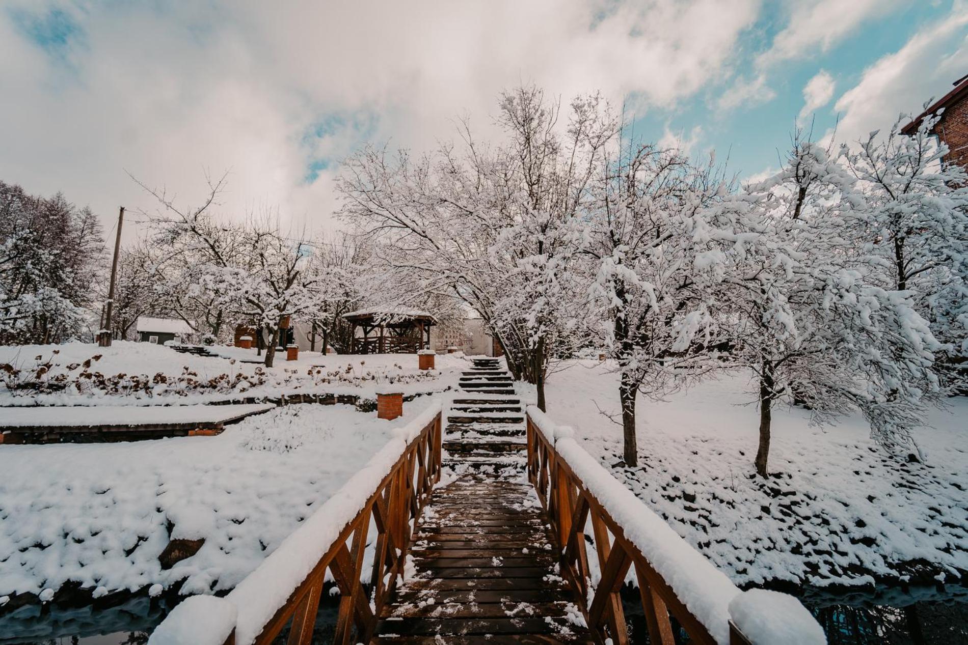 Villa Stary Mlyn W Brzeznicy Brzeznica  Esterno foto